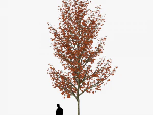 tree 4 3D Model