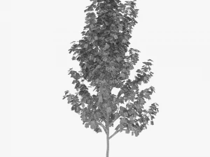 tree 4 3D Model