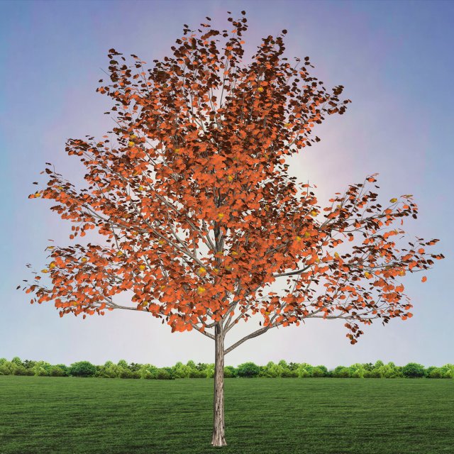 tree 1-with 24 preset materials 3D Model .c4d .max .obj .3ds .fbx .stl .blend 