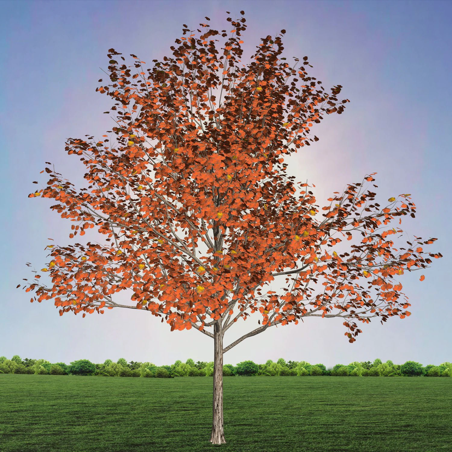 tree 1-with 24 preset materials 3D Model .c4d .max .obj .3ds .fbx .stl .blend