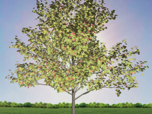 tree 1-with 24 preset materials 3D Model