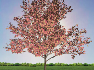 tree 1-with 24 preset materials 3D Model
