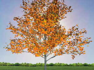tree 1-with 24 preset materials 3D Model