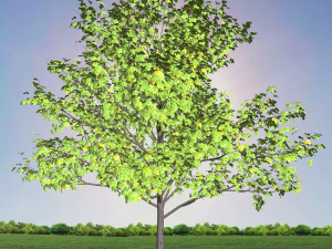 tree 1-with 24 preset materials 3D Model