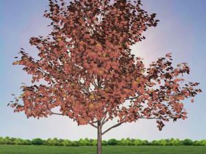 tree 1-with 24 preset materials 3D Model