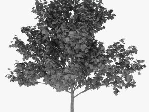 tree 1-with 24 preset materials 3D Model