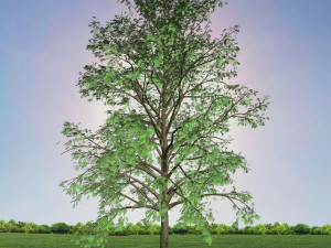tree 2-with 24 preset materials 3D Model