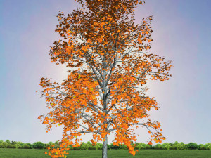 tree 2-with 24 preset materials 3D Model