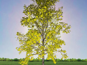 tree 2-with 24 preset materials 3D Model