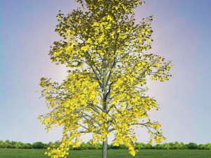 tree 2-with 24 preset materials 3D Model