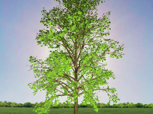 tree 2-with 24 preset materials 3D Model