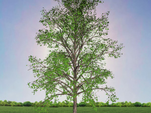 tree 2-with 24 preset materials 3D Model