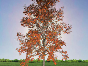 tree 2-with 24 preset materials 3D Model