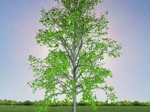 tree 2-with 24 preset materials 3D Model
