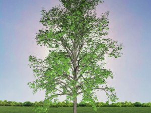 tree 2-with 24 preset materials 3D Model