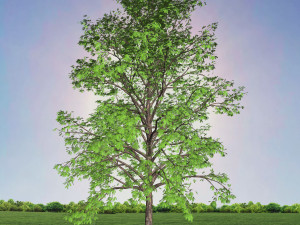 tree 2-with 24 preset materials 3D Model