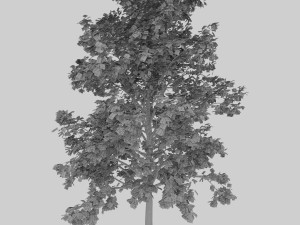 tree 2-with 24 preset materials 3D Model