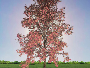 tree 2-with 24 preset materials 3D Model