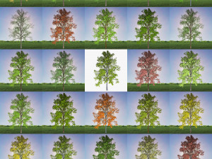 tree 2-with 24 preset materials 3D Model
