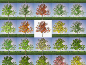 tree 2-with 24 preset materials 3D Model