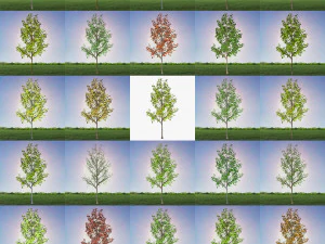 &aacute;rvore 3 - com 24 materiais predefinidos Modelo 3D