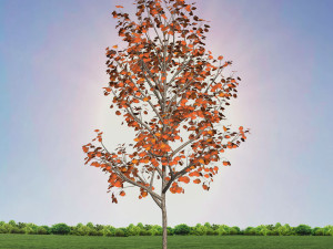 tree 3-with 24 preset materials 3D Model