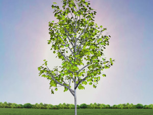 tree 3-with 24 preset materials 3D Model