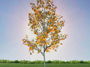 tree 3-with 24 preset materials 3D Model