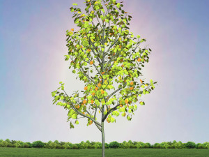 tree 3-with 24 preset materials 3D Model