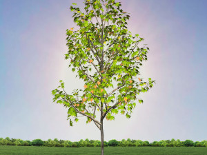tree 3-with 24 preset materials 3D Model