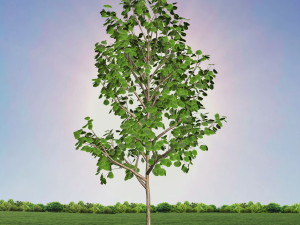 tree 3-with 24 preset materials 3D Model
