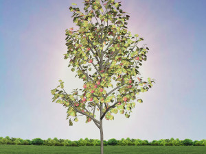 tree 3-with 24 preset materials 3D Model