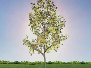tree 3-with 24 preset materials 3D Model