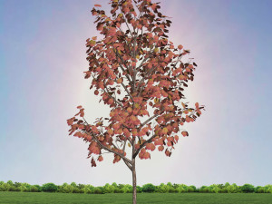 tree 3-with 24 preset materials 3D Model