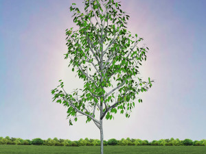 tree 3-with 24 preset materials 3D Model