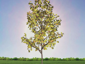 tree 3-with 24 preset materials 3D Model