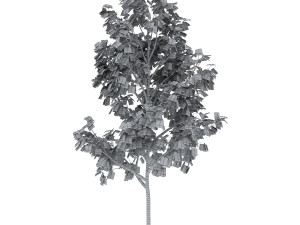 tree 3-with 24 preset materials 3D Model