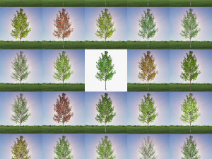 tree 4-with 24 preset materials 3D Model