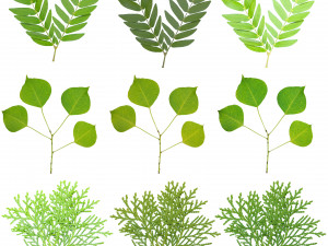 tree 4-with 24 preset materials 3Dモデル