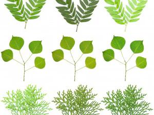tree 4-with 24 preset materials 3D Model