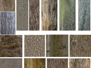tree 4-with 24 preset materials 3Dモデル
