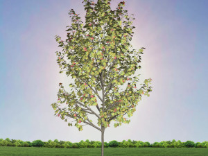 tree 4-with 24 preset materials 3Dモデル
