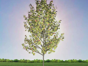 tree 4-with 24 preset materials 3D Model