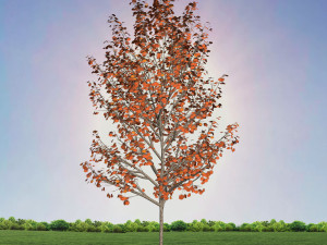 tree 4-with 24 preset materials 3Dモデル