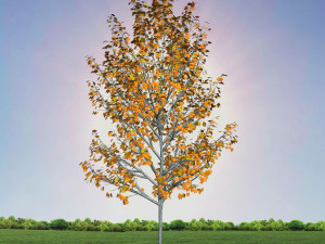 tree 4-with 24 preset materials 3Dモデル