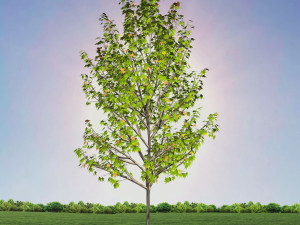 tree 4-with 24 preset materials 3Dモデル