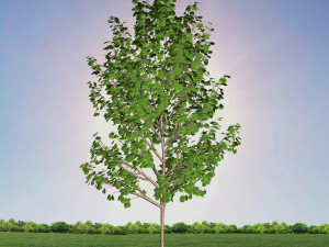 tree 4-with 24 preset materials 3Dモデル