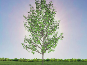 tree 4-with 24 preset materials 3Dモデル