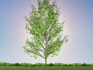 tree 4-with 24 preset materials 3D Model