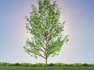 tree 4-with 24 preset materials 3D Model